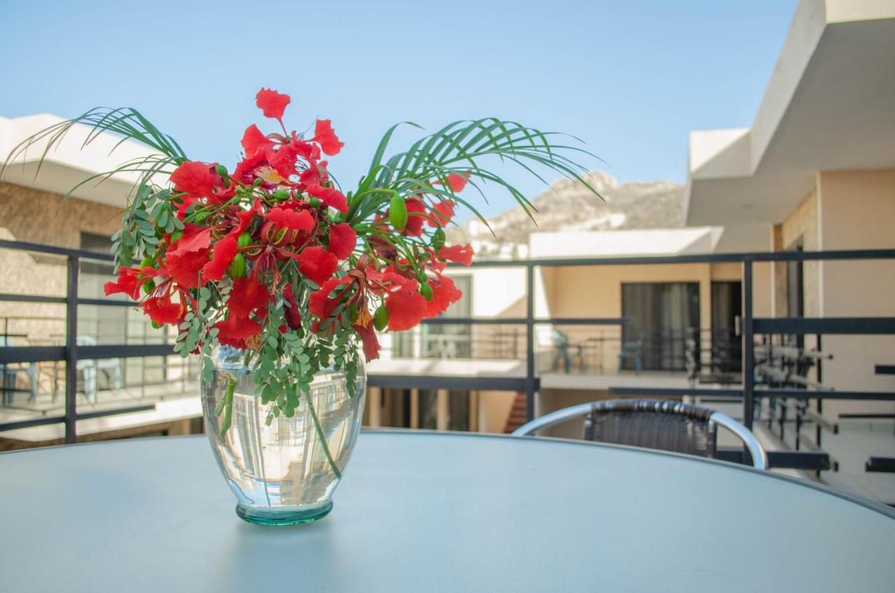Pedregal Suites - Marina And Downtown Cabo San Lucas Dış mekan fotoğraf
