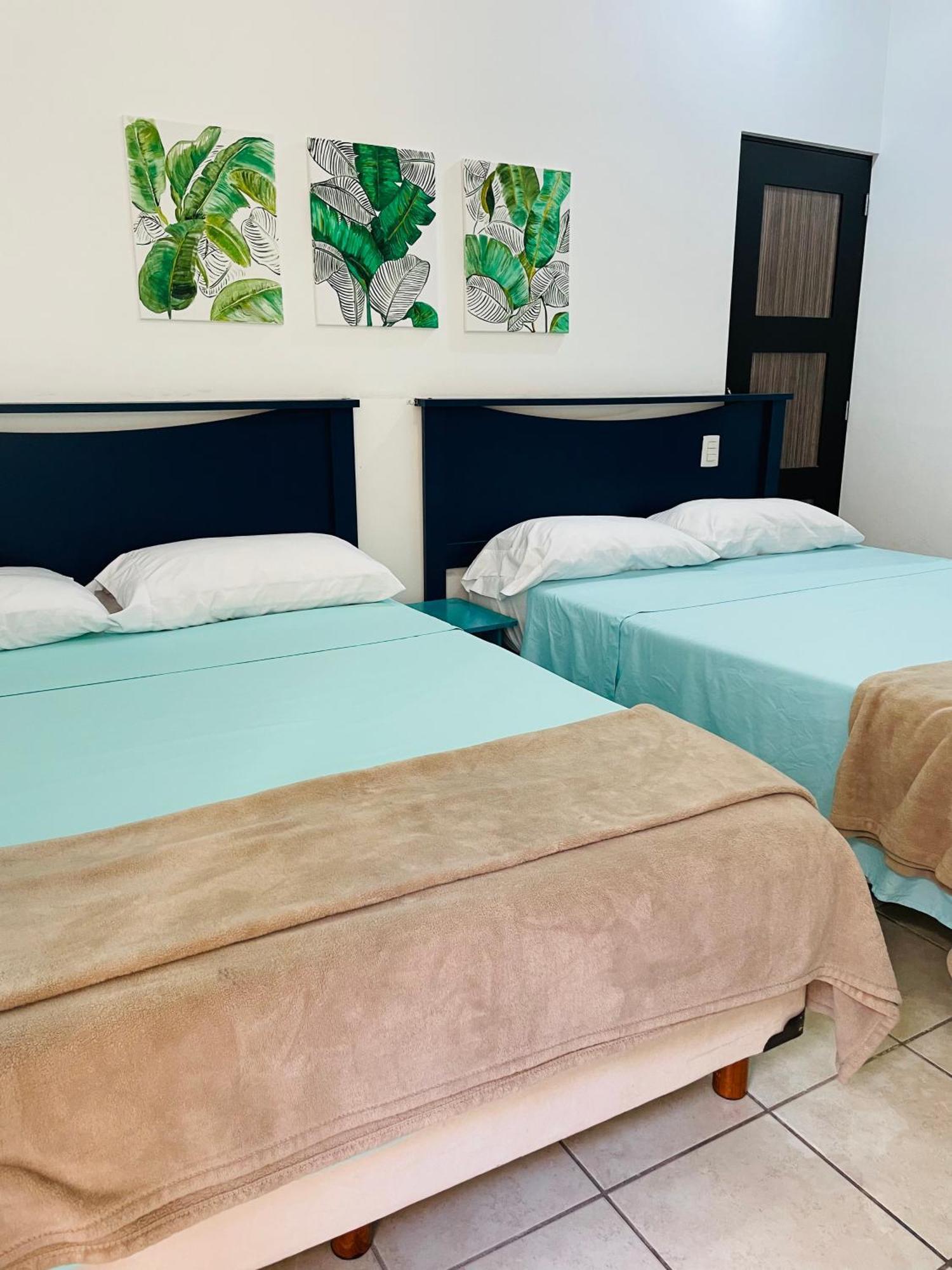 Pedregal Suites - Marina And Downtown Cabo San Lucas Dış mekan fotoğraf